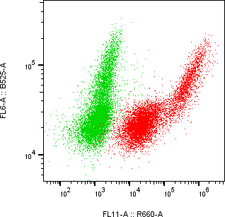 Rabbit-anti CEACAM6 monoclonal antibody