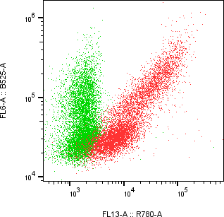Rabbit-anti EFNB1 monoclonal antibody