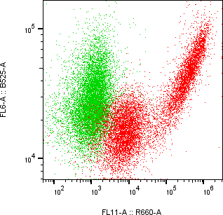 Rabbit-anti APOA4 monoclonal antibody