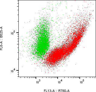Rabbit-anti NTF4 monoclonal antibody