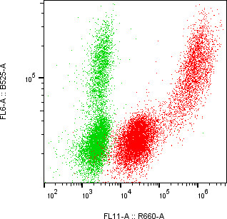 Rabbit-anti MSMB monoclonal antibody
