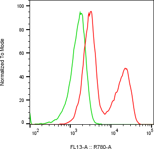 Rabbit-anti BST1 monoclonal antibody