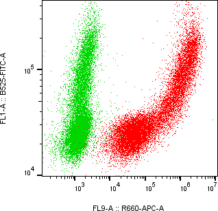 Rabbit-anti APOM monoclonal antibody