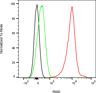 Rabbit-anti TNFRSF10C monoclonal antibody