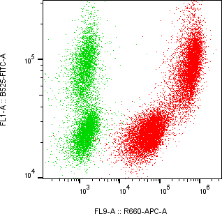 Rabbit-anti REG1B monoclonal antibody