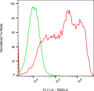 Rabbit-anti CSH2 monoclonal antibody