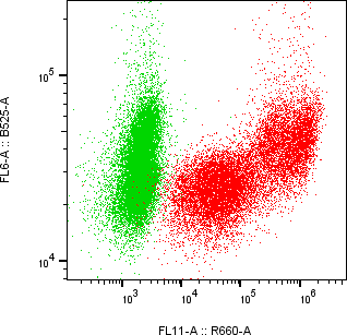 Rabbit-anti PGLYRP4 monoclonal antibody