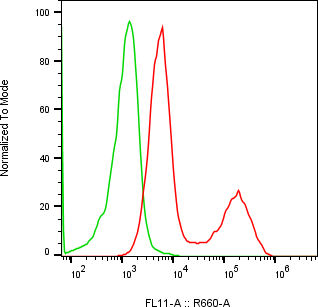 Rabbit-anti CEACAM7 monoclonal antibody