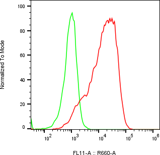 Rabbit-anti ERBB4 monoclonal antibody