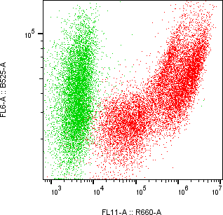 Rabbit-anti GNRH1 monoclonal antibody