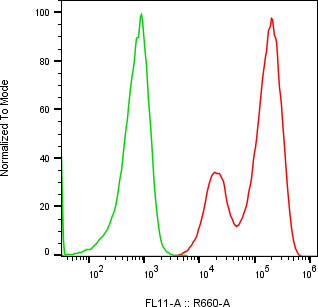 Rabbit-anti CFHR2 monoclonal antibody