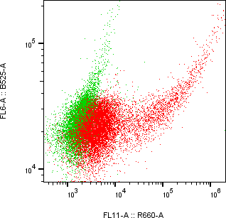 Rabbit-anti CDSN monoclonal antibody