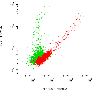 Rabbit-anti KIRREL1 monoclonal antibody