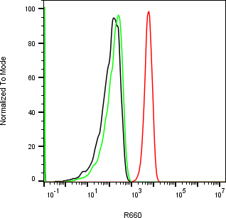 Rabbit-anti EFNA1 monoclonal antibody