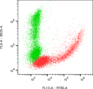 Rabbit-anti CD44 monoclonal antibody