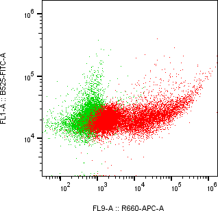 Rabbit-anti NCR2 monoclonal antibody