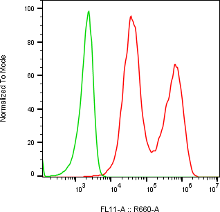 Rabbit-anti PPY monoclonal antibody
