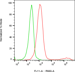 Rabbit-anti SHISAL1 monoclonal antibody