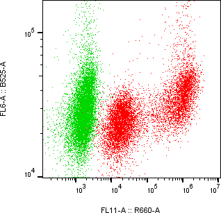 Rabbit-anti CD83 monoclonal antibody