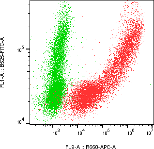 Rabbit-anti APOM monoclonal antibody
