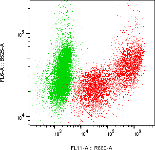 Rabbit-anti PGLYRP4 monoclonal antibody
