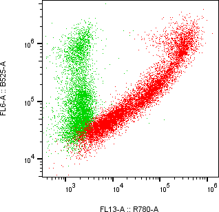 Rabbit-anti PDGFRB monoclonal antibody