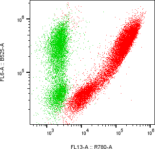 Rabbit-anti VTN monoclonal antibody