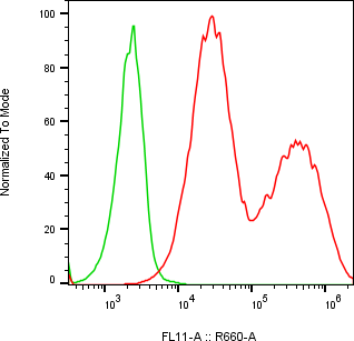 Rabbit-anti DEFB115 monoclonal antibody