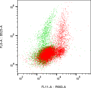 Rabbit-anti PRSS35 monoclonal antibody