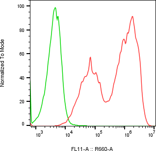 Rabbit-anti GNRH1 monoclonal antibody