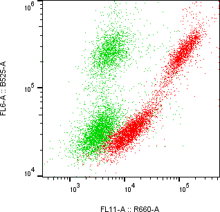 Rabbit-anti LTBR monoclonal antibody