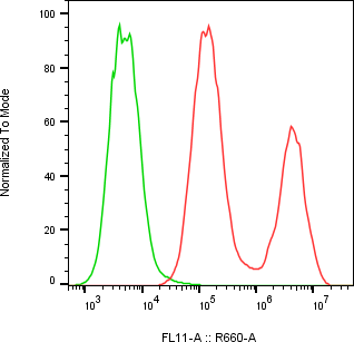 Rabbit-anti IL18BP monoclonal antibody