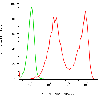 Rabbit-anti CPVL monoclonal antibody