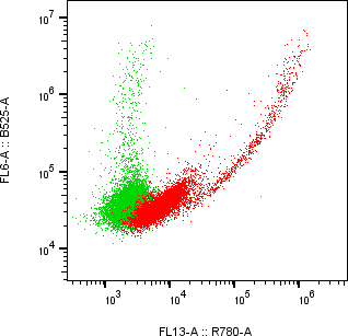 Rabbit-anti KIRREL1 monoclonal antibody