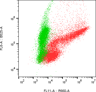 Rabbit-anti GUCA2B monoclonal antibody