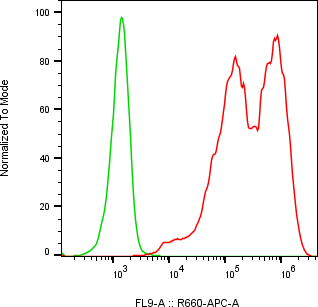 Rabbit-anti CCL16 monoclonal antibody