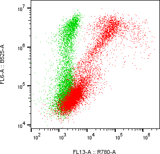 Rabbit-anti CD164 monoclonal antibody