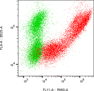 Rabbit-anti EPYC monoclonal antibody