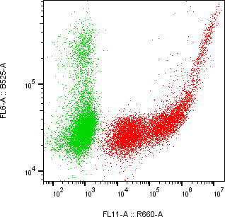 Rabbit-anti SIGIRR monoclonal antibody