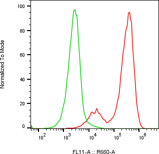 Rabbit-anti FOLR3 monoclonal antibody