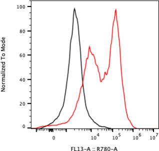 Rabbit-anti KIR2DL5A monoclonal antibody