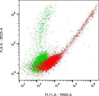 Rabbit-anti BPIFA2 monoclonal antibody