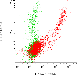 Rabbit-anti CLEC3B monoclonal antibody