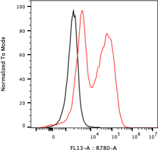Rabbit-anti PSAP monoclonal antibody