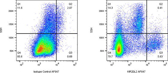 Rabbit-anti KIR2DL2 monoclonal antibody