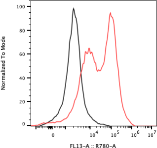Rabbit-anti KIR2DL5A monoclonal antibody