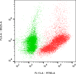 Rabbit-anti IGFBP6 monoclonal antibody
