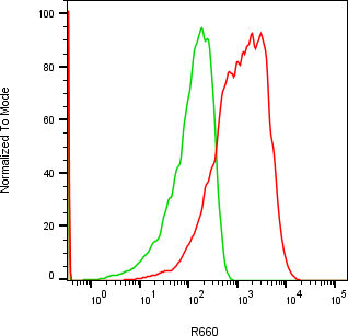 Rabbit-anti ULBP2 monoclonal antibody