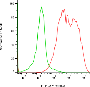 Rabbit-anti CST6 monoclonal antibody