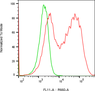 Rabbit-anti CHAD monoclonal antibody